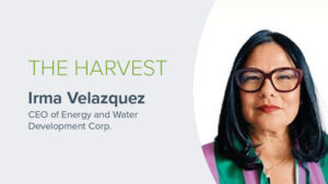 The Harvest Podcast Featuring Energy and Water Development Corp. CEO Irma Velazquez