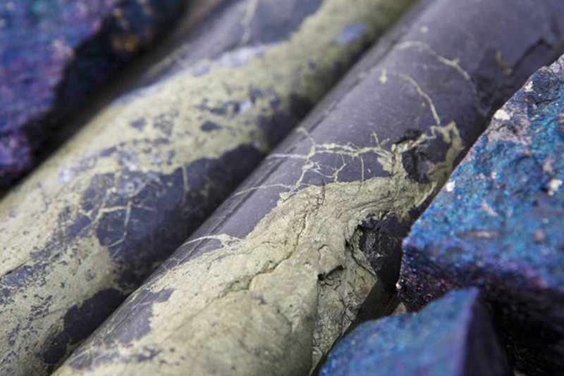 Bornite Project drill core